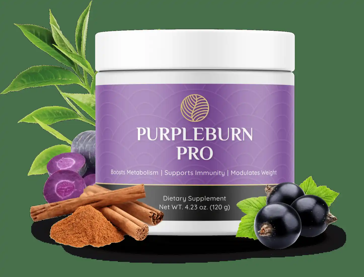 Purple Burn logo